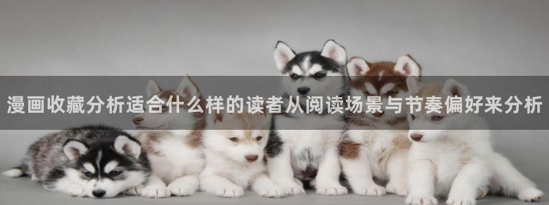 漫蛙漫画网页入口最新