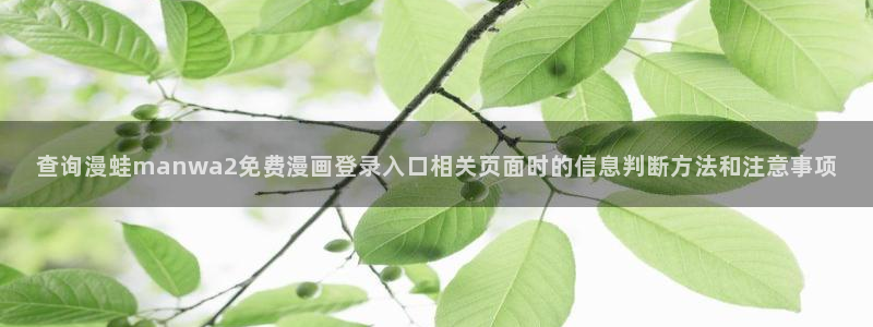 漫蛙漫画网页阅读
