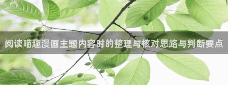 漫蛙漫画人气榜：阅读喵趣漫画主题内容时的整理与核对思路与判断要点